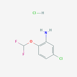 molecular formula C7H7Cl2F2NO B6591610 5-Chloro-2-(difluoromethoxy)aniline hydrochloride CAS No. 1431963-04-0