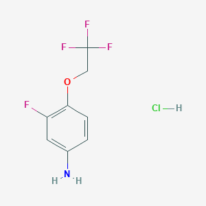 molecular formula C8H8ClF4NO B6591612 [3-氟-4-(2,2,2-三氟乙氧基)苯基]胺盐酸盐 CAS No. 1431963-84-6