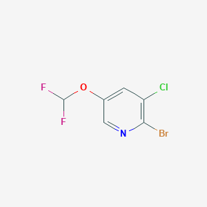 molecular formula C6H3BrClF2NO B6591924 2-Bromo-3-chloro-5-(difluoromethoxy)pyridine CAS No. 1799420-93-1