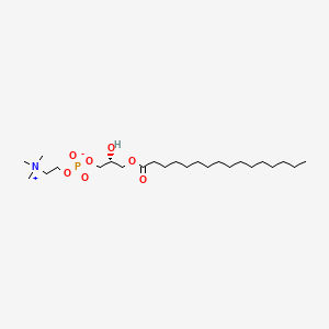 molecular formula C24H50NO7P B6594279 1-棕榈酰-sn-甘油-3-磷酸胆碱 CAS No. 97281-38-4