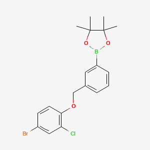 molecular formula C19H21BBrClO3 B6595360 2-(3-((4-Bromo-2-chlorophenoxy)methyl)phenyl)-4,4,5,5-tetramethyl-1,3,2-dioxaborolane CAS No. 2246646-61-5