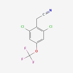 molecular formula C9H4Cl2F3NO B6596372 2,6-Dichloro-4-(trifluoromethoxy)benzeneacetonitrile CAS No. 886503-13-5