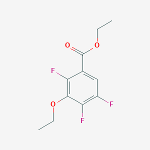 molecular formula C11H11F3O3 B6599220 ethyl 3-ethoxy-2,4,5-trifluorobenzoate CAS No. 172602-80-1