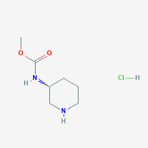 molecular formula C7H15ClN2O2 B6599987 methyl N-[(3R)-piperidin-3-yl]carbamate hydrochloride CAS No. 1884705-30-9