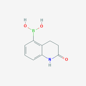 (2-oxo-1,2,3,4-tetrahydroquinolin-5-yl)boronic acid