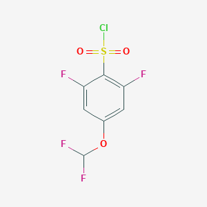 molecular formula C7H3ClF4O3S B6601938 4-(difluoromethoxy)-2,6-difluorobenzene-1-sulfonyl chloride CAS No. 1803802-95-0