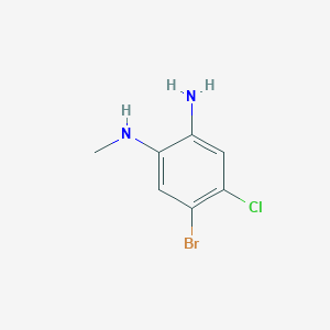 molecular formula C7H8BrClN2 B6603677 5-bromo-4-chloro-N1-methylbenzene-1,2-diamine CAS No. 2255305-92-9