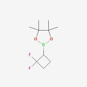 molecular formula C10H17BF2O2 B6604517 2-(2,2-二氟环丁基)-4,4,5,5-四甲基-1,3,2-二氧杂硼环己烷 CAS No. 2307161-96-0