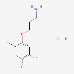 molecular formula C9H11ClF3NO B6607249 3-(2,4,5-trifluorophenoxy)propan-1-amine hydrochloride CAS No. 2839157-50-3