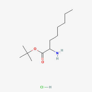 tert-butyl 2-aminooctanoate hydrochloride