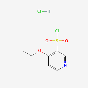 molecular formula C7H9Cl2NO3S B6610541 4-ethoxypyridine-3-sulfonyl chloride hydrochloride CAS No. 2763751-03-5