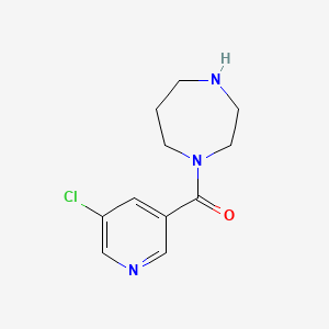 molecular formula C11H14ClN3O B6610683 1-(5-chloropyridine-3-carbonyl)-1,4-diazepane CAS No. 1995408-02-0