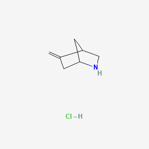 molecular formula C7H12ClN B6610836 5-methylidene-2-azabicyclo[2.2.1]heptane hydrochloride CAS No. 2866353-36-6