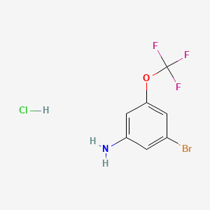 3-bromo-5-(trifluoromethoxy)aniline hydrochloride