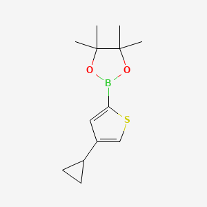 molecular formula C13H19BO2S B6613460 2-(4-cyclopropylthiophen-2-yl)-4,4,5,5-tetramethyl-1,3,2-dioxaborolane CAS No. 2223041-50-5