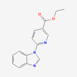 molecular formula C15H13N3O2 B6613921 ethyl 6-(1H-1,3-benzodiazol-1-yl)pyridine-3-carboxylate CAS No. 1100290-98-9