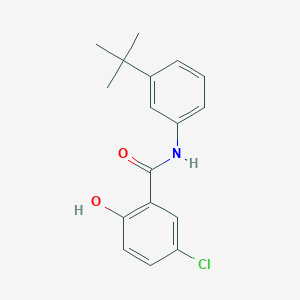 B6614728 N-(3-tert-butylphenyl)-5-chloro-2-hydroxybenzamide CAS No. 634186-63-3