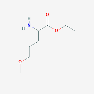 molecular formula C8H17NO3 B6615981 ethyl 2-amino-5-methoxypentanoate CAS No. 1343056-65-4