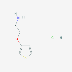 2-(thiophen-3-yloxy)ethan-1-amine hydrochloride