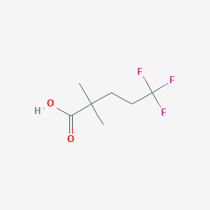 molecular formula C7H11F3O2 B6617437 5,5,5-trifluoro-2,2-dimethylpentanoic acid CAS No. 1520419-48-0