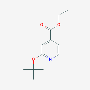 molecular formula C12H17NO3 B6619151 ethyl 2-(tert-butoxy)pyridine-4-carboxylate CAS No. 1803585-75-2
