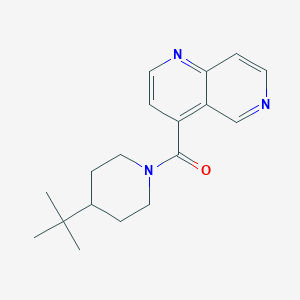 (4-Tert-butylpiperidin-1-yl)-(1,6-naphthyridin-4-yl)methanone