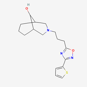 molecular formula C17H23N3O2S B6627547 3-[3-(3-Thiophen-2-yl-1,2,4-oxadiazol-5-yl)propyl]-3-azabicyclo[3.3.1]nonan-9-ol 