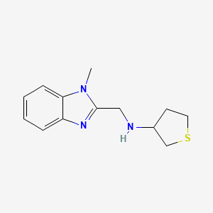 molecular formula C13H17N3S B6628714 N-[(1-methylbenzimidazol-2-yl)methyl]thiolan-3-amine 