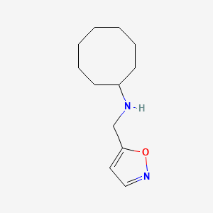 molecular formula C12H20N2O B6628719 N-(1,2-oxazol-5-ylmethyl)cyclooctanamine 