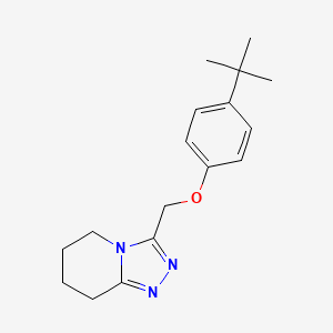 molecular formula C17H23N3O B6628738 3-[(4-Tert-butylphenoxy)methyl]-5,6,7,8-tetrahydro-[1,2,4]triazolo[4,3-a]pyridine 