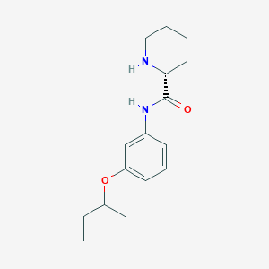 molecular formula C16H24N2O2 B6629687 (2R)-N-(3-butan-2-yloxyphenyl)piperidine-2-carboxamide 