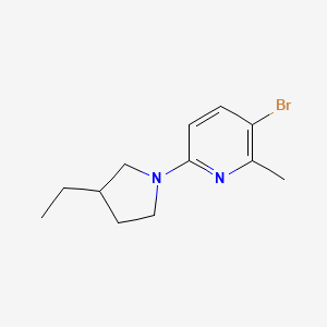 molecular formula C12H17BrN2 B6631392 3-Bromo-6-(3-ethylpyrrolidin-1-yl)-2-methylpyridine 