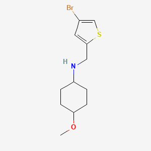 molecular formula C12H18BrNOS B6631471 N-[(4-bromothiophen-2-yl)methyl]-4-methoxycyclohexan-1-amine 