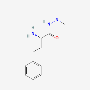 molecular formula C12H19N3O B6632790 (2S)-2-amino-N',N'-dimethyl-4-phenylbutanehydrazide 