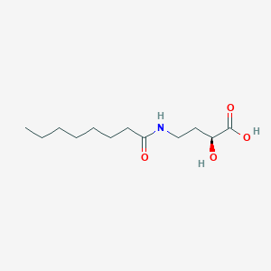 molecular formula C12H23NO4 B6635445 (2S)-2-hydroxy-4-(octanoylamino)butanoic acid 