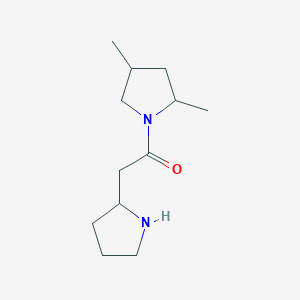 molecular formula C12H22N2O B6648188 1-(2,4-Dimethylpyrrolidin-1-yl)-2-pyrrolidin-2-ylethanone 