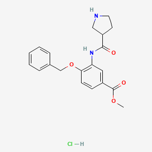 molecular formula C20H23ClN2O4 B6660462 Methyl 4-phenylmethoxy-3-(pyrrolidine-3-carbonylamino)benzoate;hydrochloride 