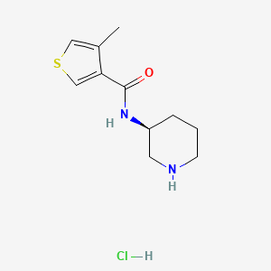 4-methyl-N-[(3S)-piperidin-3-yl]thiophene-3-carboxamide;hydrochloride