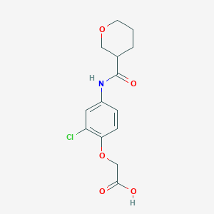 2-[2-Chloro-4-(oxane-3-carbonylamino)phenoxy]acetic acid