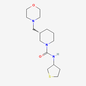 (3S)-3-(morpholin-4-ylmethyl)-N-(thiolan-3-yl)piperidine-1-carboxamide