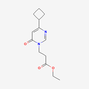 molecular formula C13H18N2O3 B6714109 Ethyl 3-(4-cyclobutyl-6-oxopyrimidin-1-yl)propanoate 