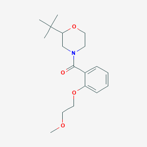 (2-Tert-butylmorpholin-4-yl)-[2-(2-methoxyethoxy)phenyl]methanone