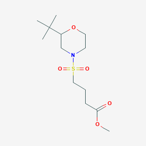 molecular formula C13H25NO5S B6719677 Methyl 4-(2-tert-butylmorpholin-4-yl)sulfonylbutanoate 