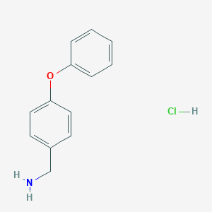 molecular formula C13H14ClNO B067328 (4-苯氧基苯基)甲胺盐酸盐 CAS No. 169944-04-1