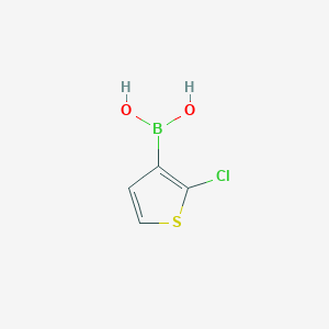 B067370 2-Chlorothiophene-3-boronic acid CAS No. 177734-82-6