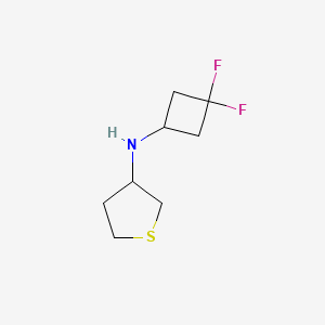 molecular formula C8H13F2NS B6749187 N-(3,3-difluorocyclobutyl)thiolan-3-amine 