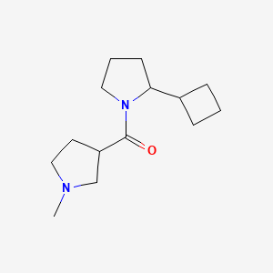 (2-Cyclobutylpyrrolidin-1-yl)-(1-methylpyrrolidin-3-yl)methanone