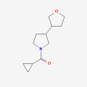 molecular formula C12H19NO2 B6759120 Cyclopropyl-[3-(oxolan-3-yl)pyrrolidin-1-yl]methanone 