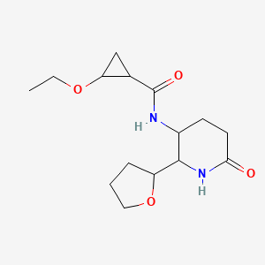 2-ethoxy-N-[6-oxo-2-(oxolan-2-yl)piperidin-3-yl]cyclopropane-1-carboxamide