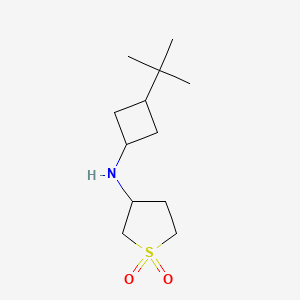 N-(3-tert-butylcyclobutyl)-1,1-dioxothiolan-3-amine